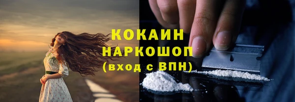 PSILOCYBIN Нефтегорск